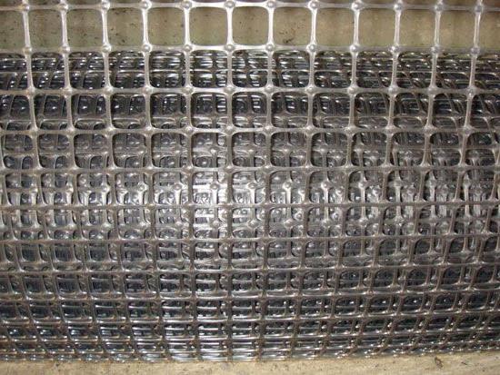 �����w�S���������;